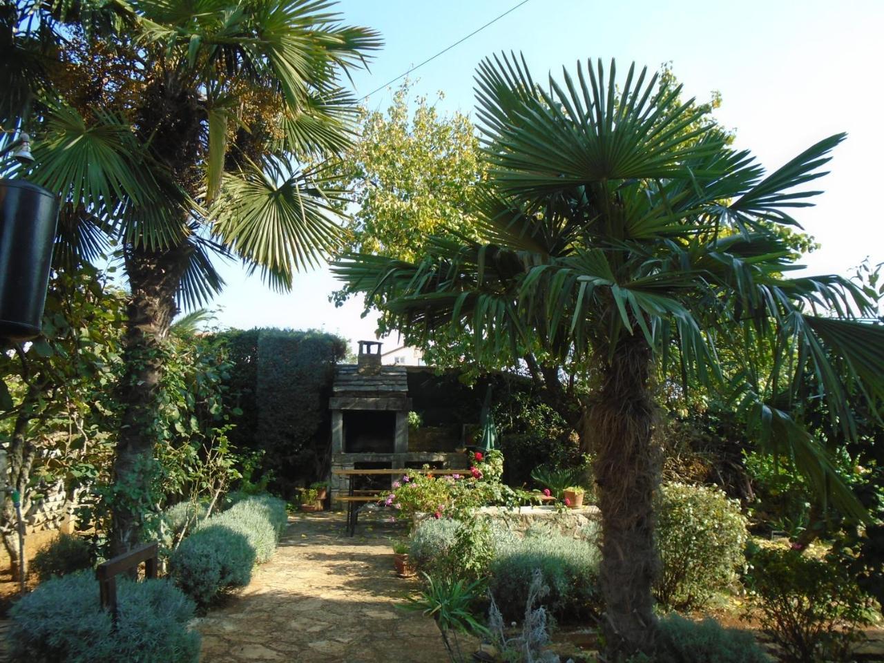 Villa Maria Novigrad  Exterior photo