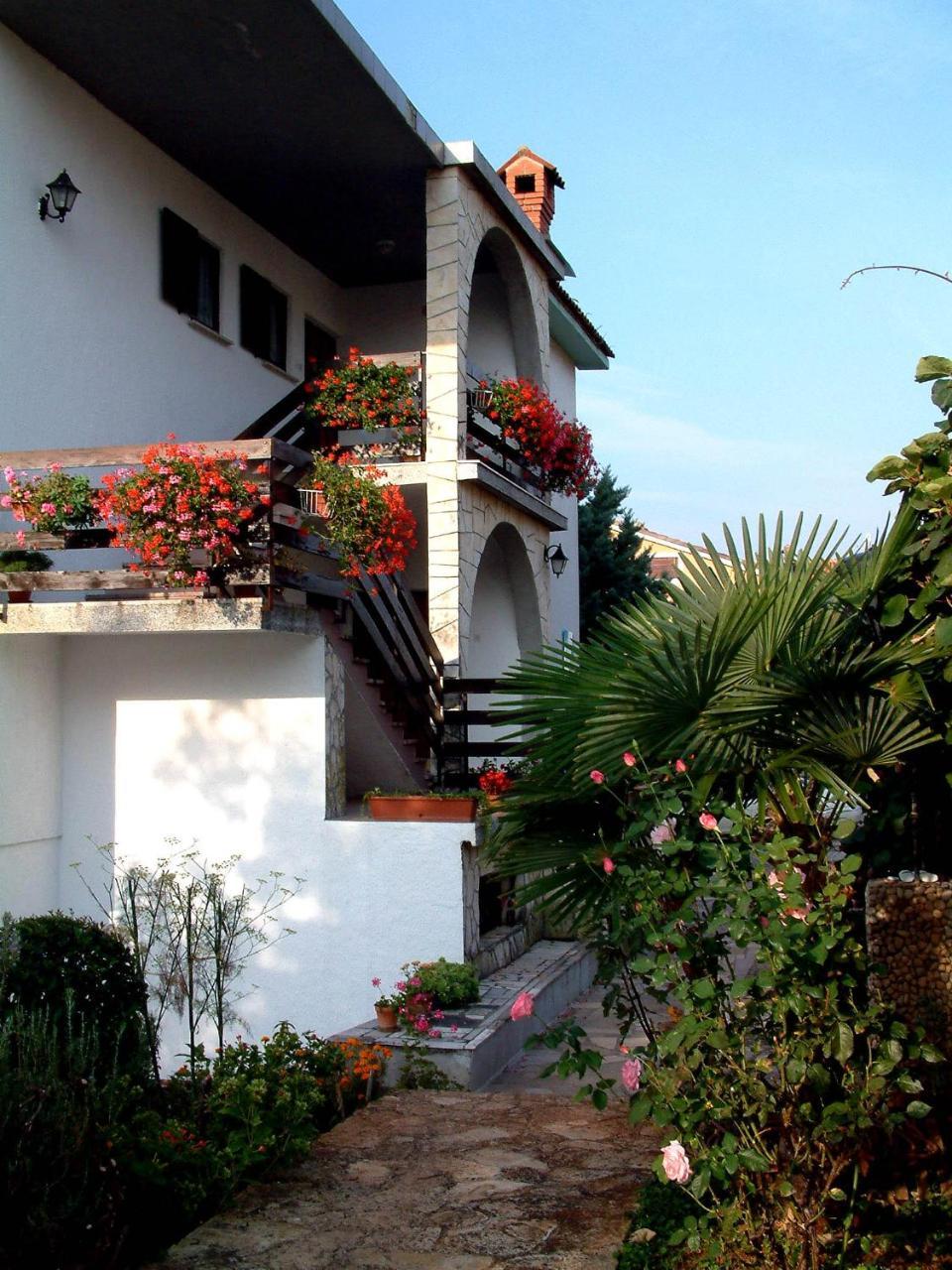 Villa Maria Novigrad  Exterior photo