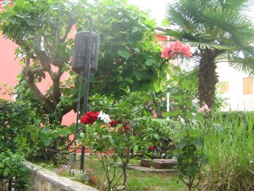 Villa Maria Novigrad  Exterior photo