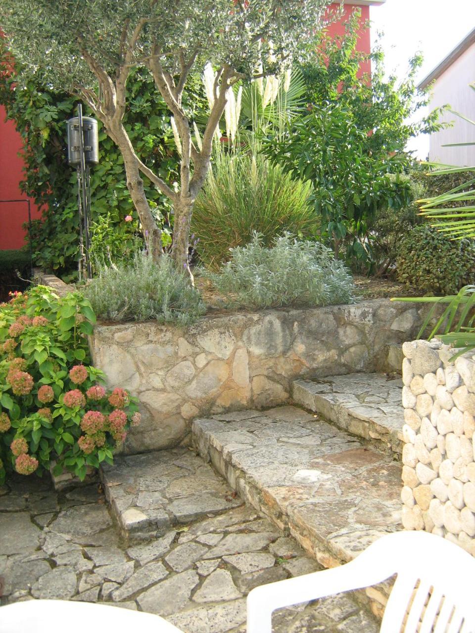 Villa Maria Novigrad  Exterior photo