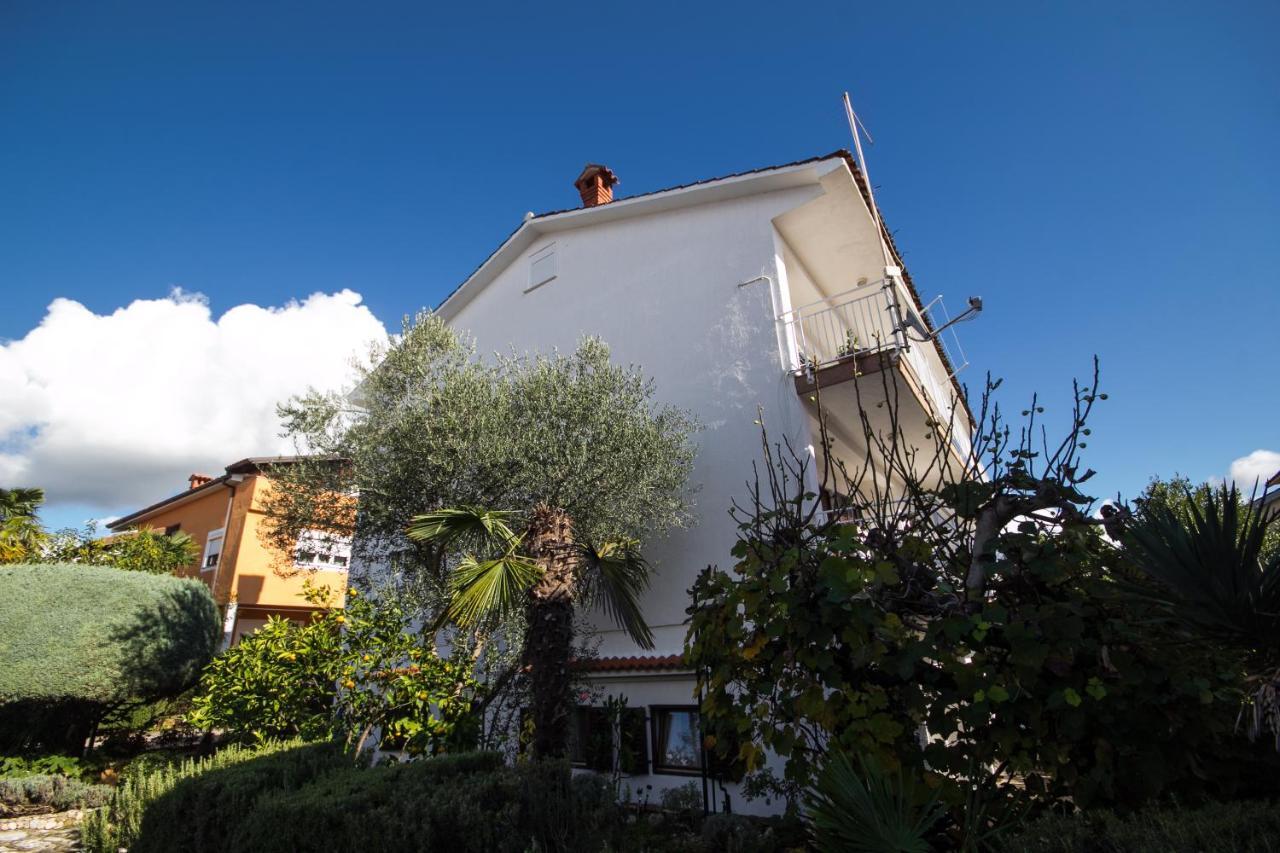 Villa Maria Novigrad  Exterior photo