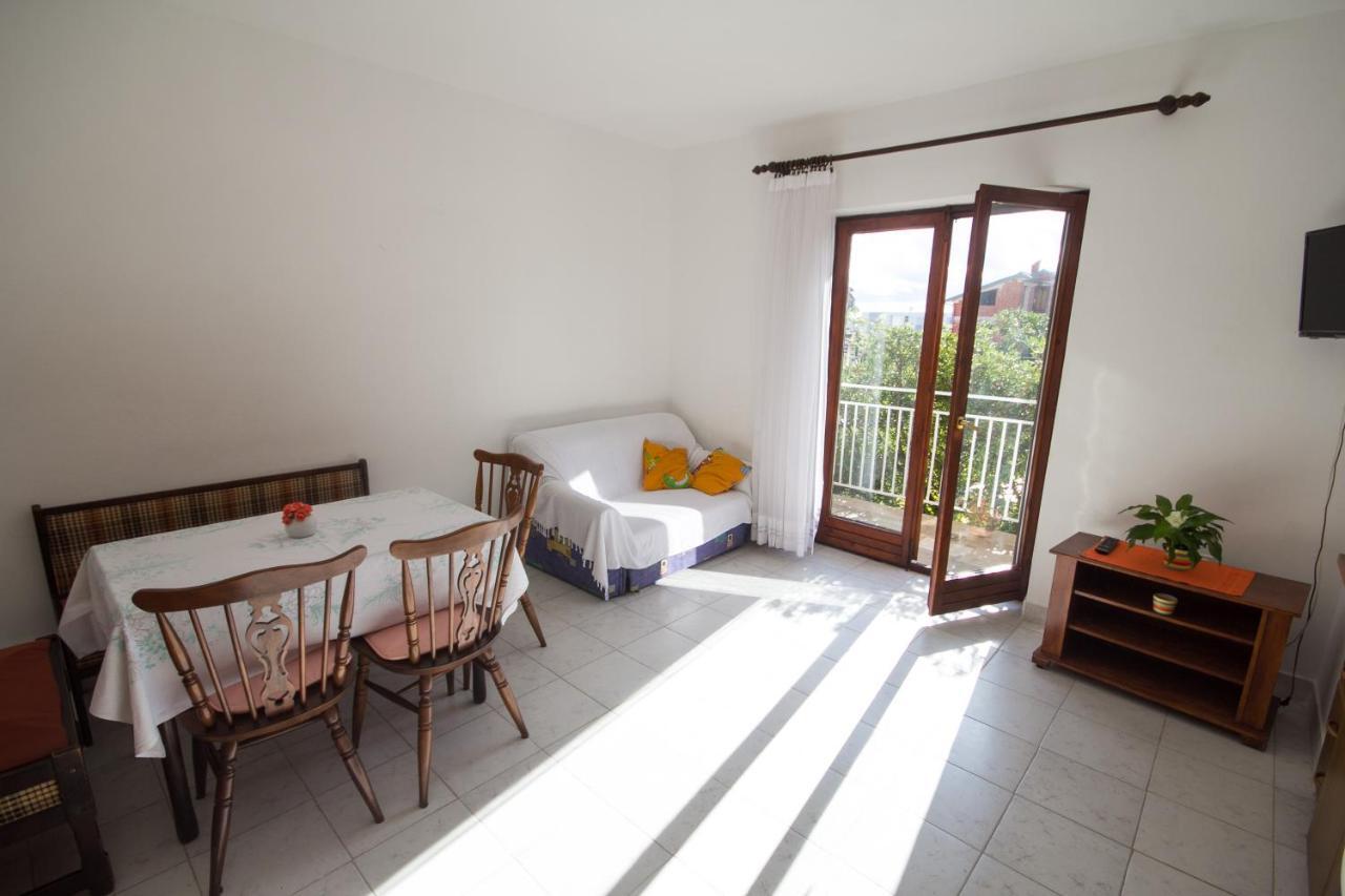 Villa Maria Novigrad  Exterior photo